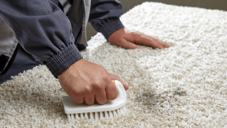 Professional Rug Cleaning Doreen